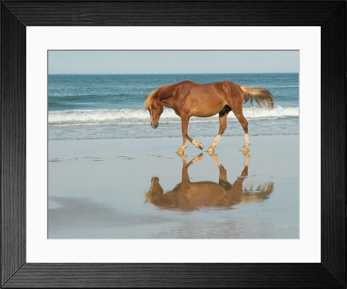Framed Print : Bay Relection. Creator: Eve Turek Framed Print : Bay Relection. Creator: Eve Turek