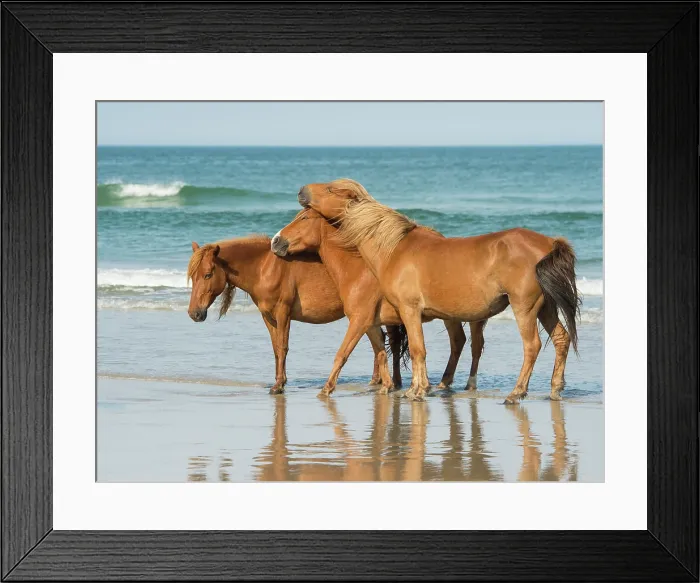 Framed Print : My Tribe. Creator: Eve Turek Framed Print : My Tribe. Creator: Eve Turek