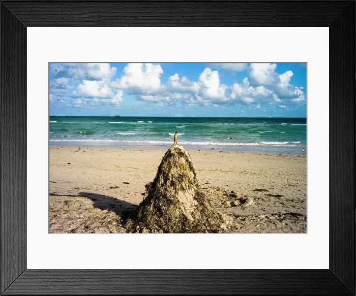 Framed Print : Lummus Park, Miami Beach, Miami, FL. Creator: Chris Suspect Framed Print : Lummus Park, Miami Beach, Miami, FL. Creator: Chris Suspect