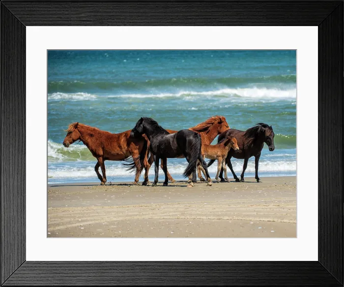Framed Print : Renzi's Family. Creator: Eve Turek. Renzi's Family. Creator: Eve Turek Framed Print : Renzi's Family. Creator: Eve Turek. Renzi's Family. Creator: Eve Turek