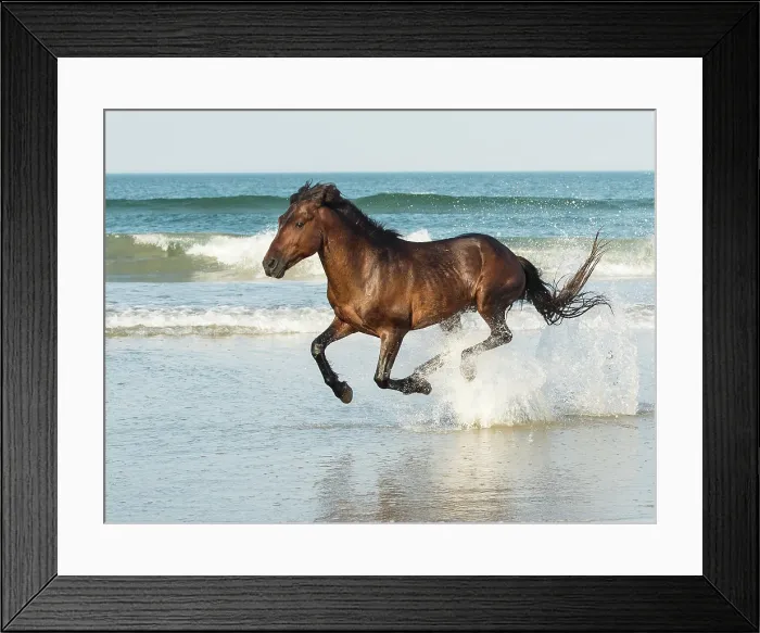 Framed Print : Run Like The Wind. Creator: Eve Turek Framed Print : Run Like The Wind. Creator: Eve Turek