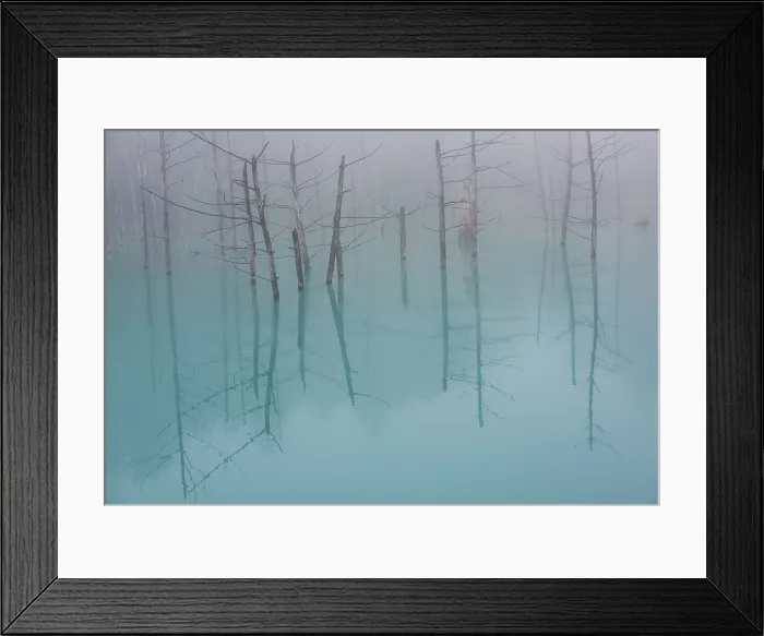 Framed Print : Blue Pond. Creator: Dorte Verner Framed Print : Blue Pond. Creator: Dorte Verner