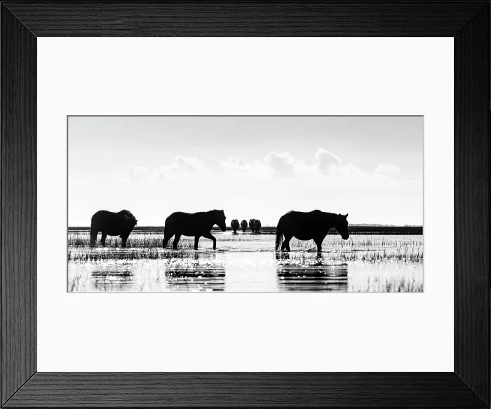 Framed Print : Dawn Striders. Creator: Eve Turek