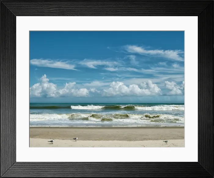 Framed Print : Perfect Day. Creator: Eve Turek Framed Print : Perfect Day. Creator: Eve Turek