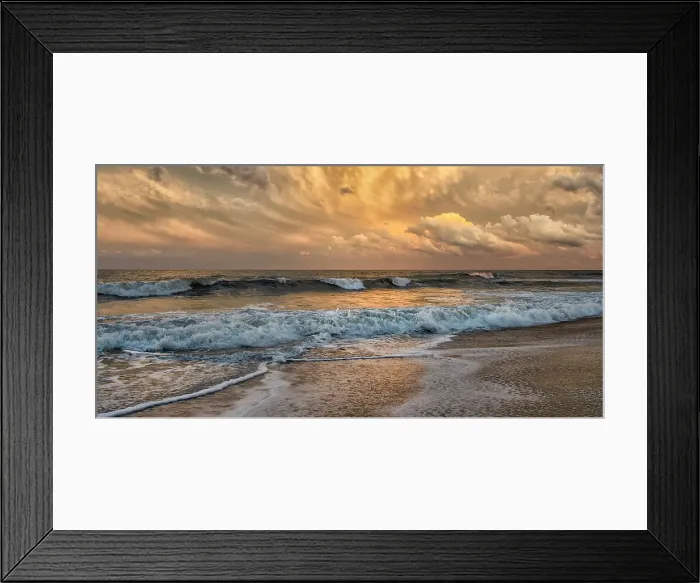Framed Print : Gilded. Creator: Eve Turek Framed Print : Gilded. Creator: Eve Turek