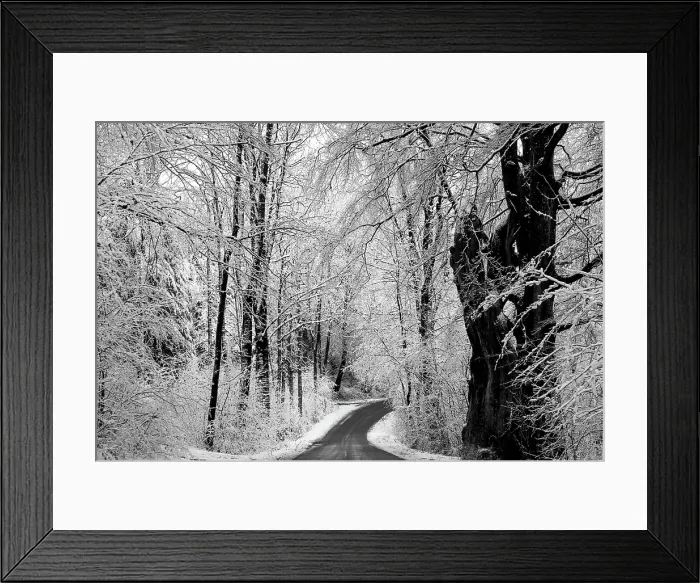 Framed Print : Scandinavian Winter. Creator: Dorte Verner Framed Print : Scandinavian Winter. Creator: Dorte Verner