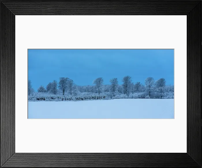 Framed Print : Danish Winter Morning. Creator: Dorte Verner Framed Print : Danish Winter Morning. Creator: Dorte Verner