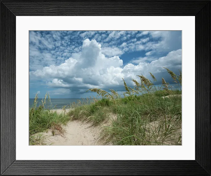 Framed Print : A Glorious Day. Creator: Eve Turek Framed Print : A Glorious Day. Creator: Eve Turek