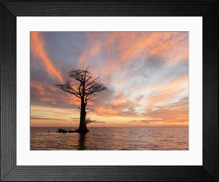 Framed Print : Holy Ground. Creator: Eve Turek Framed Print : Holy Ground. Creator: Eve Turek