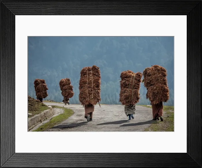 Framed Print : Heavy Load. Creator: Dorte Verner Framed Print : Heavy Load. Creator: Dorte Verner