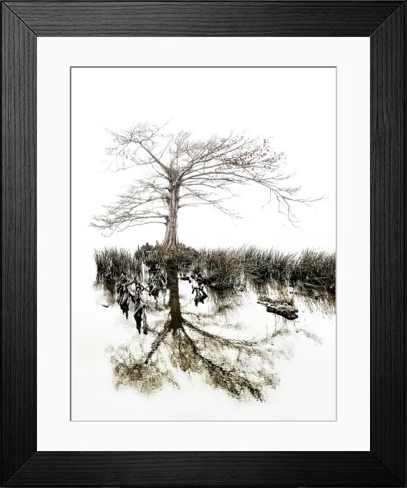 Framed Print : Aging Gracefully. Creator: Eve Turek Framed Print : Aging Gracefully. Creator: Eve Turek