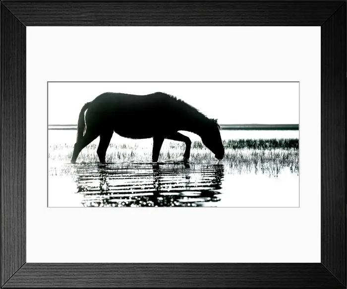 Framed Print : Morning Impression. Creator: Eve Turek Framed Print : Morning Impression. Creator: Eve Turek