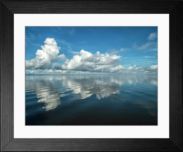 Framed Print : Bluebird Morning. Creator: Eve Turek Framed Print : Bluebird Morning. Creator: Eve Turek