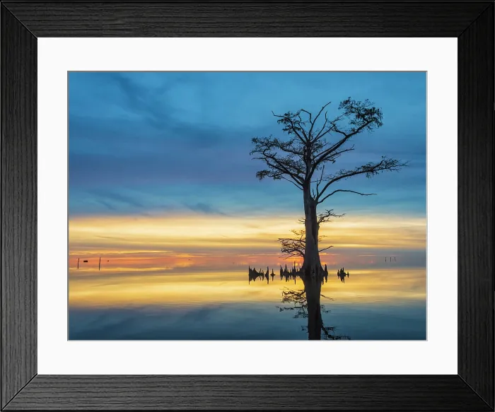 Framed Print : Celebrate the Evening. Creator: Eve Turek Framed Print : Celebrate the Evening. Creator: Eve Turek