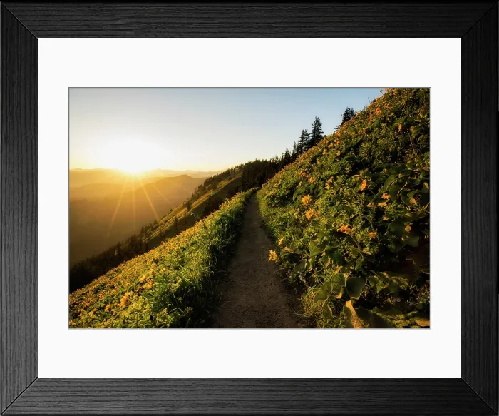 Framed Print : An Evening Walk. Creator: Joshua Johnston Framed Print : An Evening Walk. Creator: Joshua Johnston