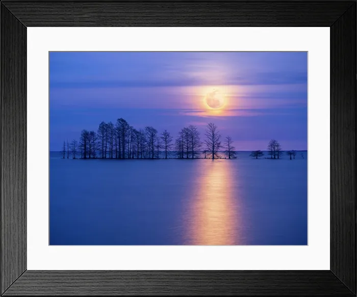 Framed Print : Moonlight Sonata. Creator: Eve Turek Framed Print : Moonlight Sonata. Creator: Eve Turek