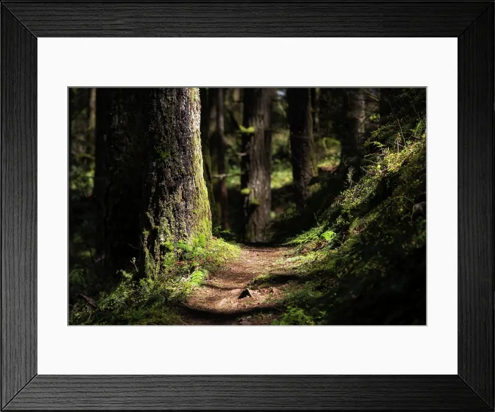 Framed Print : Trail Addiction. Creator: Joshua Johnston Framed Print : Trail Addiction. Creator: Joshua Johnston
