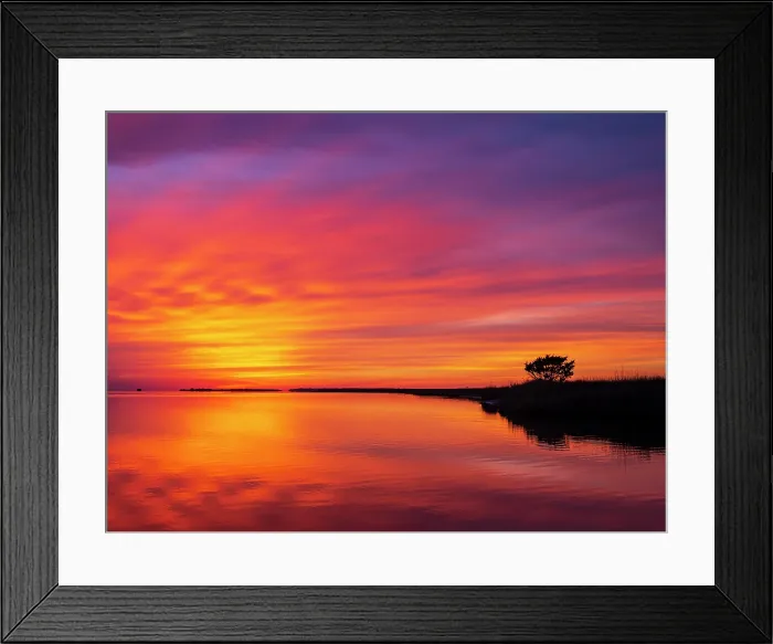 Framed Print : Crescendo. Creator: Eve Turek Framed Print : Crescendo. Creator: Eve Turek