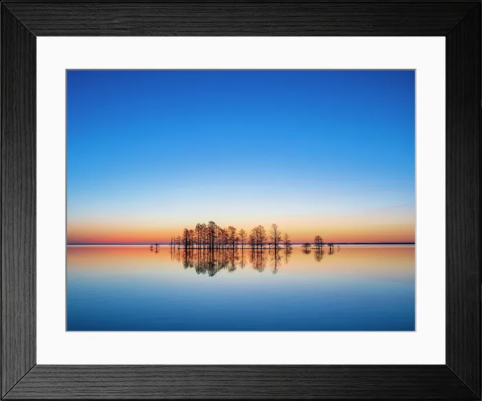 Framed Print : Anticipation. Creator: Eve Turek