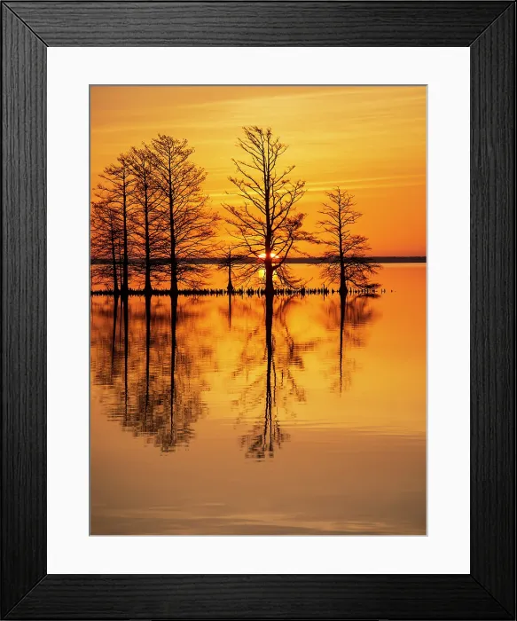 Framed Print : Rise and Shine. Creator: Eve Turek Framed Print : Rise and Shine. Creator: Eve Turek