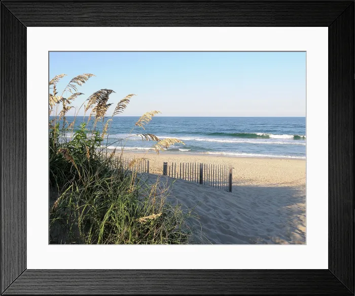 Framed Print : Carolina Contentment. Creator: Eve Turek Framed Print : Carolina Contentment. Creator: Eve Turek