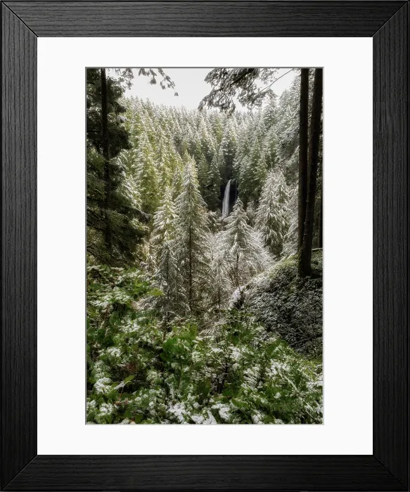 Framed Print : Winter's Touch. Creator: Joshua Johnston. Winter's Touch. Creator: Joshua Johnston Framed Print : Winter's Touch. Creator: Joshua Johnston. Winter's Touch. Creator: Joshua Johnston