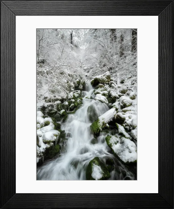 Framed Print : Winter Dream. Creator: Joshua Johnston Framed Print : Winter Dream. Creator: Joshua Johnston