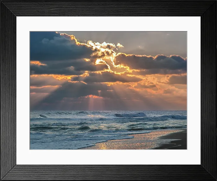 Framed Print : Morning Glorious. Creator: Eve Turek Framed Print : Morning Glorious. Creator: Eve Turek