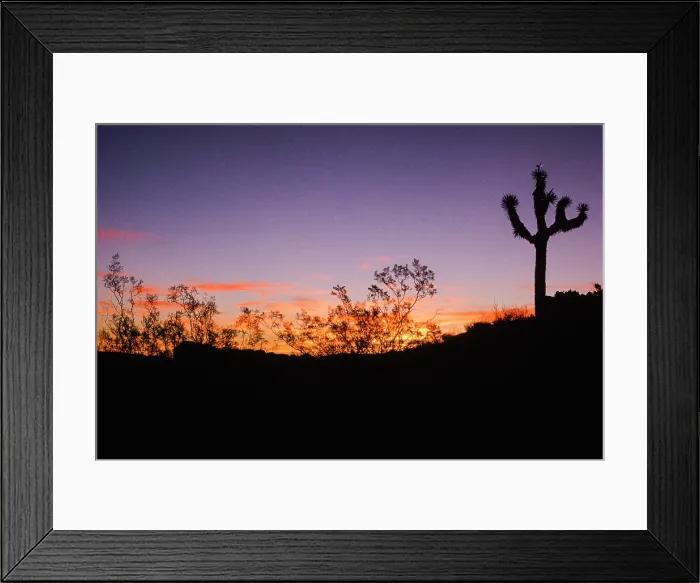 Framed Print : Alone at Sunset. Creator: Robert Manno Framed Print : Alone at Sunset. Creator: Robert Manno