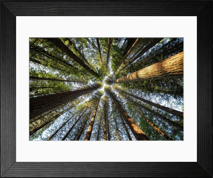 Framed Print : Up There. Creator: Joshua Johnston Framed Print : Up There. Creator: Joshua Johnston