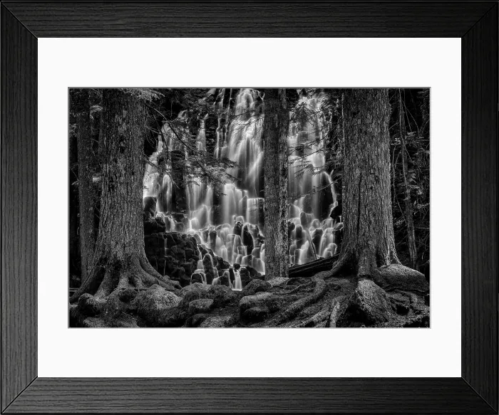 Framed Print : Guarded Dreams. Creator: Joshua Johnston Framed Print : Guarded Dreams. Creator: Joshua Johnston