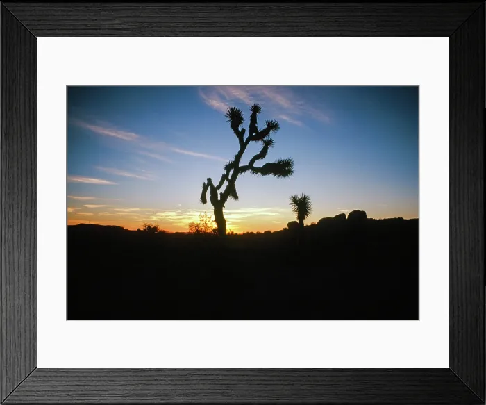 Framed Print : Reach. Creator: Robert Manno Framed Print : Reach. Creator: Robert Manno