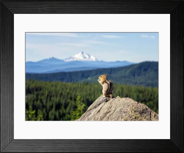 Framed Print : Lunch with a View. Creator: Joshua Johnston Framed Print : Lunch with a View. Creator: Joshua Johnston
