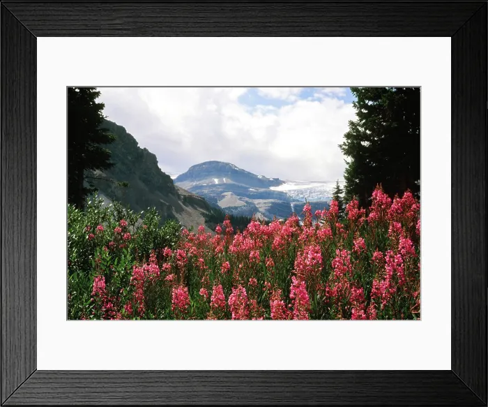 Framed Print : Natures Home. Creator: Robert Manno Framed Print : Natures Home. Creator: Robert Manno
