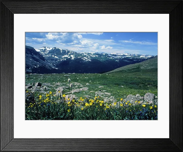 Framed Print : Sound of Music. Creator: Robert Manno Framed Print : Sound of Music. Creator: Robert Manno