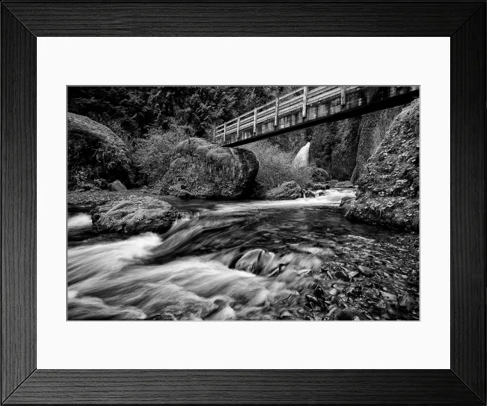 Framed Print : Creeping. Creator: Joshua Johnston Framed Print : Creeping. Creator: Joshua Johnston