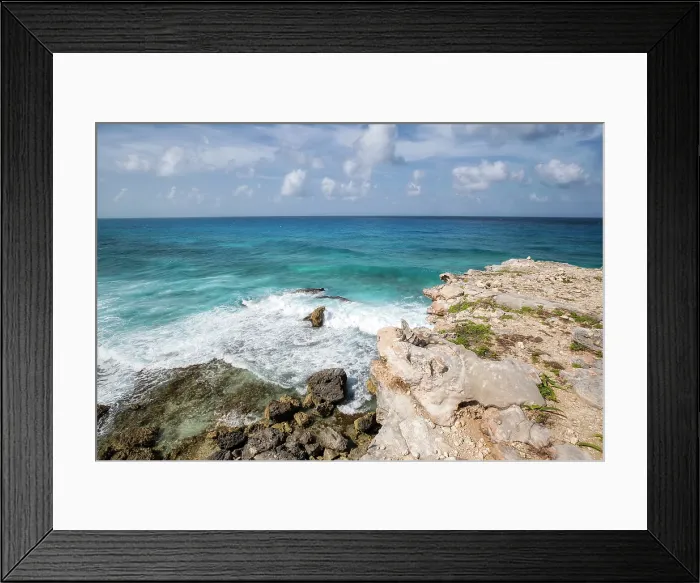Framed Print : Iguana Paradise. Creator: Joshua Johnston Framed Print : Iguana Paradise. Creator: Joshua Johnston