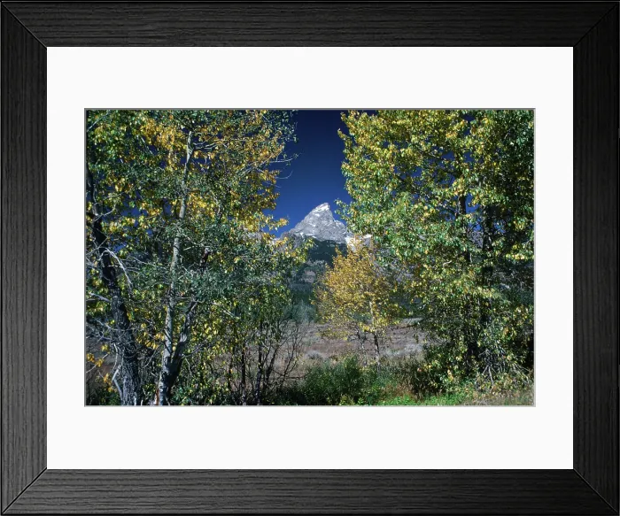 Framed Print : The Peak. Creator: Robert Manno Framed Print : The Peak. Creator: Robert Manno