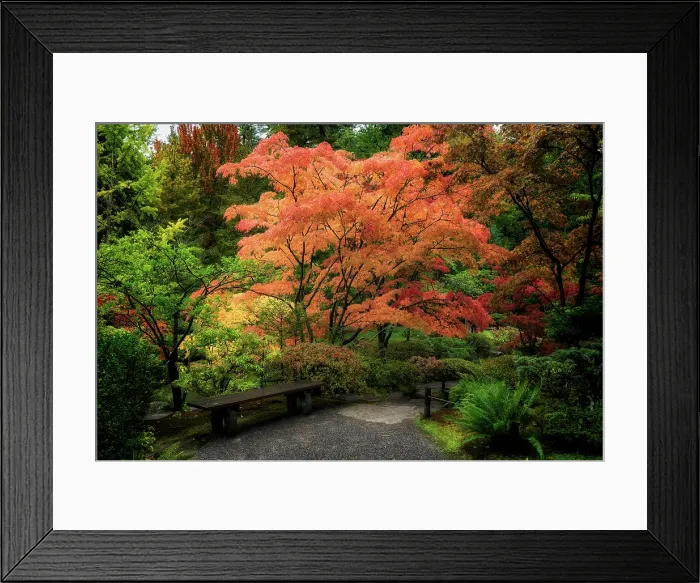 Framed Print : Japanese Gardens. Creator: Joshua Johnston Framed Print : Japanese Gardens. Creator: Joshua Johnston