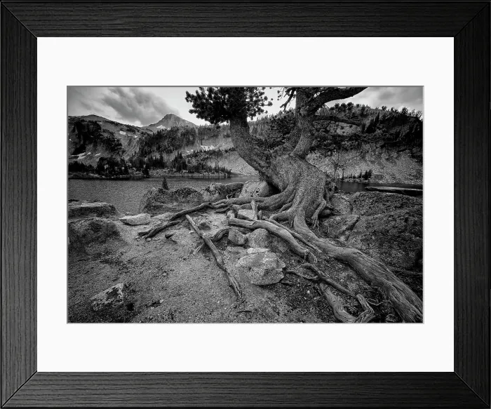Framed Print : Timeless. Creator: Joshua Johnston Framed Print : Timeless. Creator: Joshua Johnston