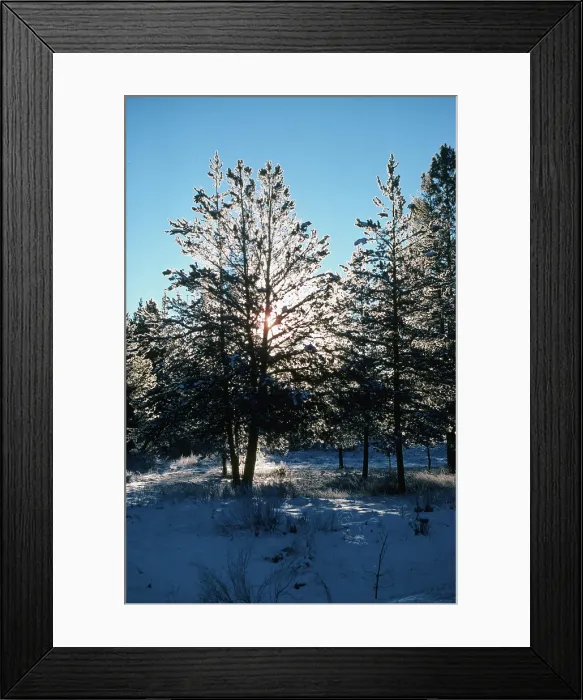 Framed Print : Snowshine. Creator: Robert Manno Framed Print : Snowshine. Creator: Robert Manno