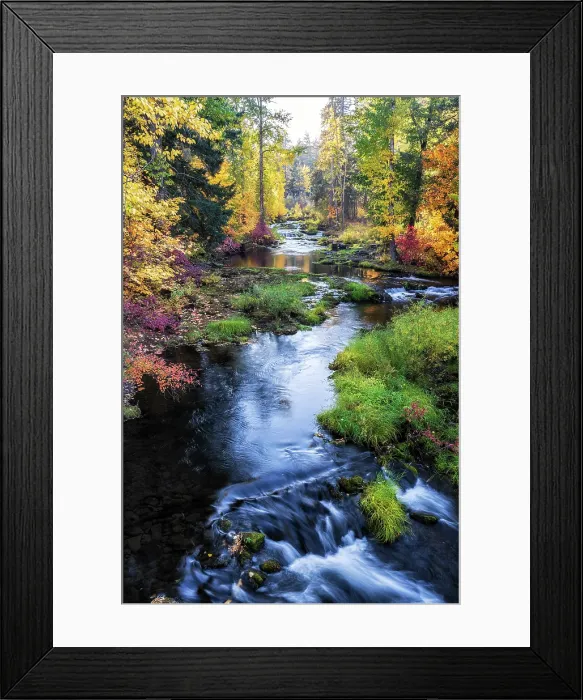 Framed Print : Autumn Colors. Creator: Joshua Johnston Framed Print : Autumn Colors. Creator: Joshua Johnston