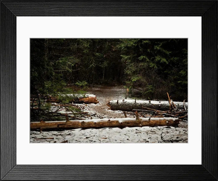 Framed Print : Where it Begins. Creator: Joshua Johnston Framed Print : Where it Begins. Creator: Joshua Johnston