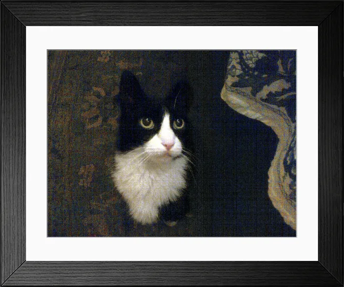Framed Print : Favorite Cat. Creator: Tom Artin Framed Print : Favorite Cat. Creator: Tom Artin