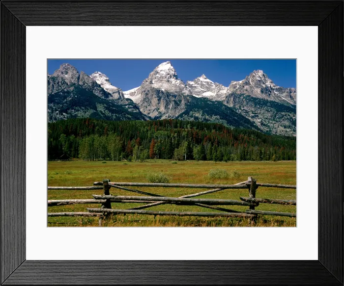 Framed Print : Tetons Fence. Creator: Tom Artin Framed Print : Tetons Fence. Creator: Tom Artin