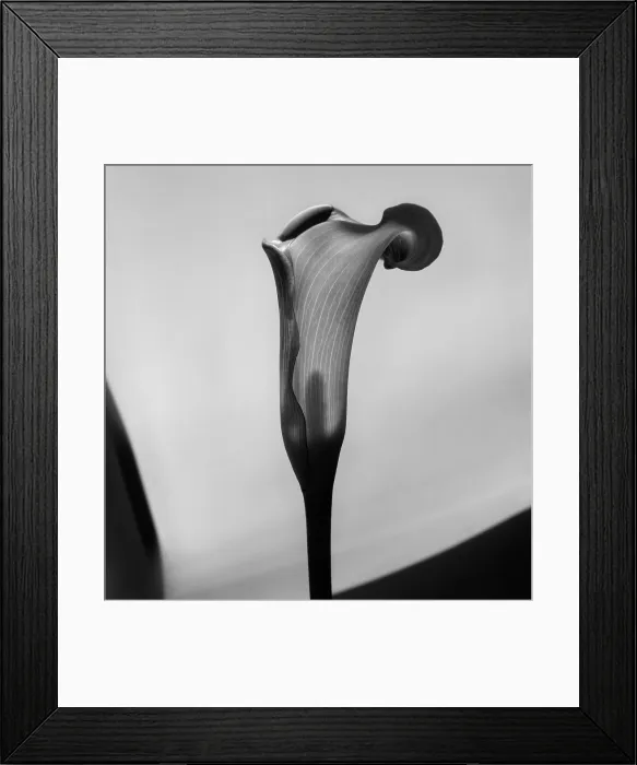 Framed Print : Cala. Creator: Tom Artin Framed Print : Cala. Creator: Tom Artin