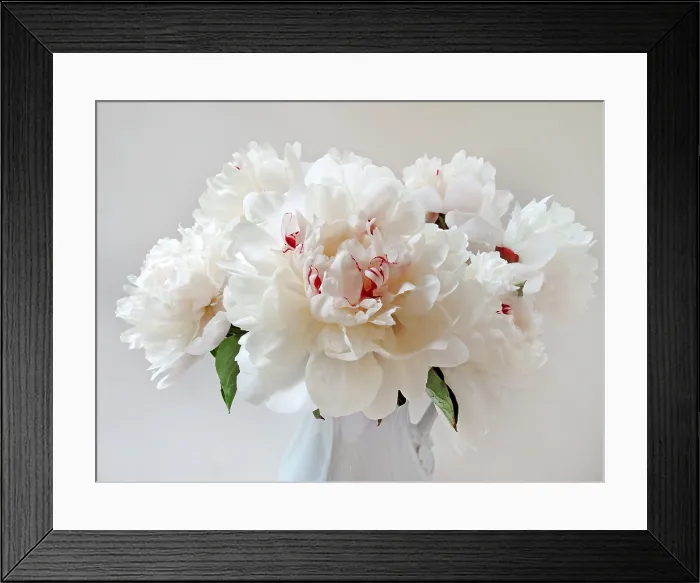 Framed Print : Peonies. Creator: Tom Artin Framed Print : Peonies. Creator: Tom Artin