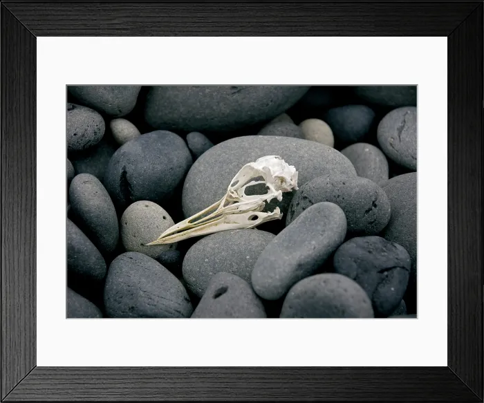 Framed Print : Stones, Iceland A. Creator: Tom Artin Framed Print : Stones, Iceland A. Creator: Tom Artin