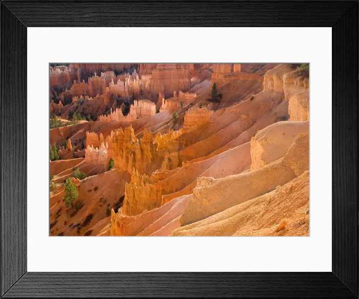 Framed Print : Bryce Canyon. Creator: Tom Artin Framed Print : Bryce Canyon. Creator: Tom Artin