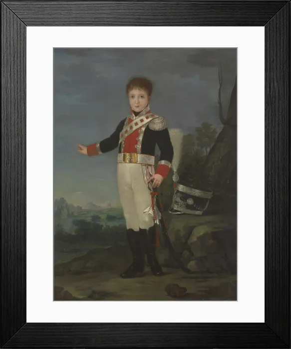 Framed Print : Portrait of Don Sebastien Gabriel de Borbon y Braganza (1811-1857), c1820. Creator: Goya, Francisco, de (1746-1828) Framed Print : Portrait of Don Sebastien Gabriel de Borbon y Braganza (1811-1857), c1820. Creator: Goya, Francisco, de (1746-1828)